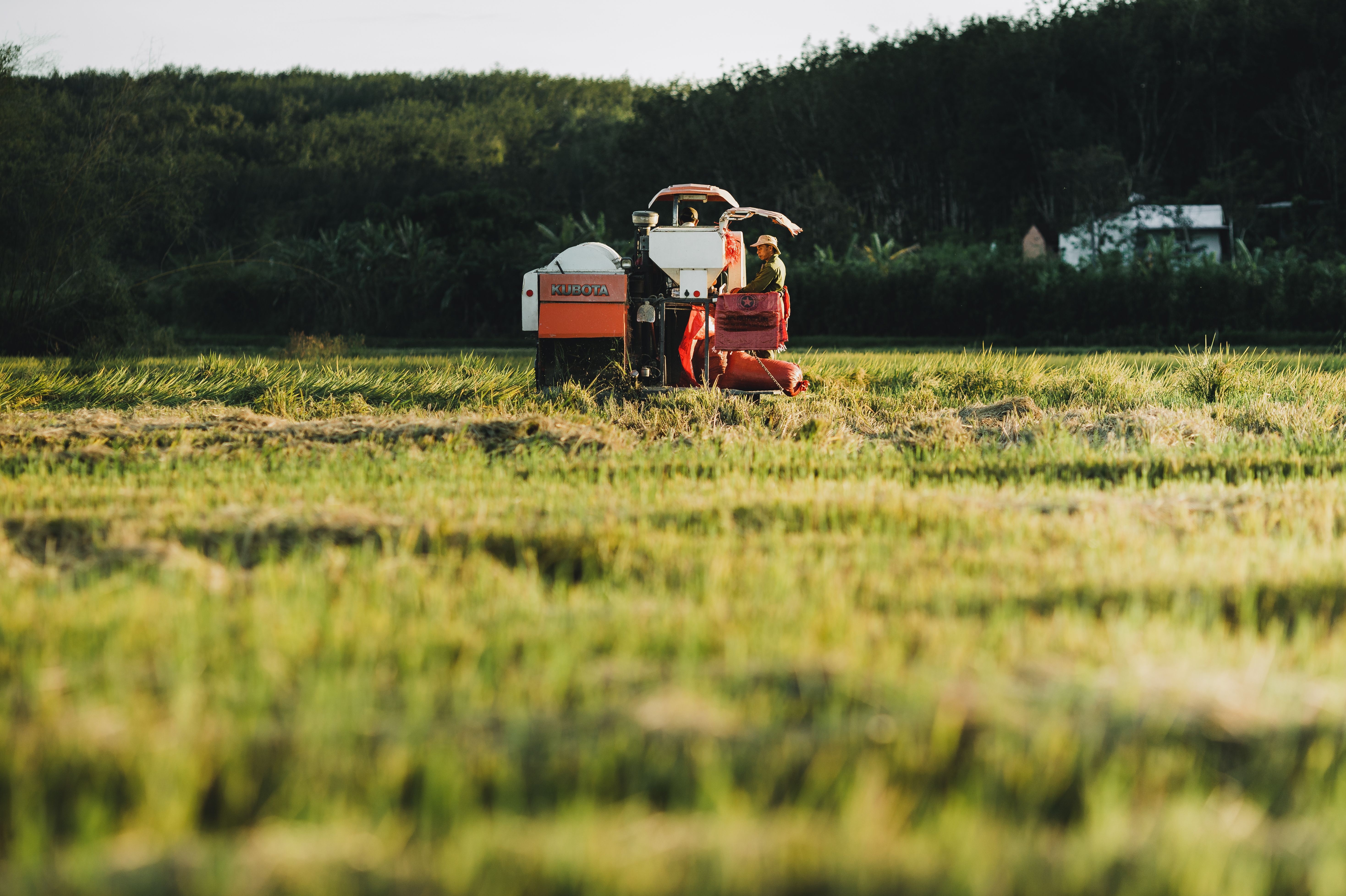 Agricultural Commodities