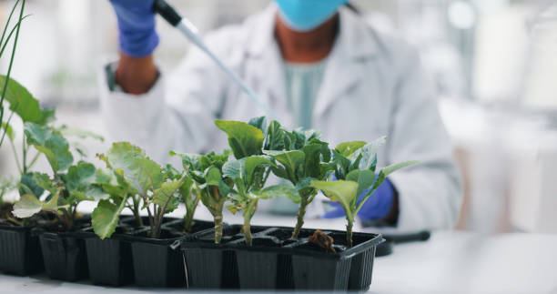 Agricultural Biotechnology